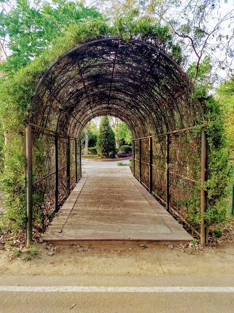 Tau Devi Lal Bio Diversity Park